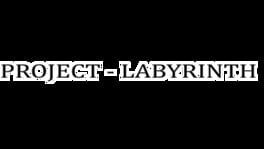 Project - Labyrinth artwork 3