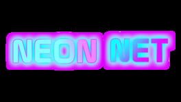 Neon Net artwork 2