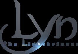 Lyn: The Lightbringer artwork 4