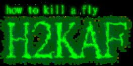 How to Kill a Fly artwork 5