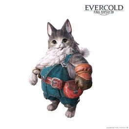 Final Fantasy XIV: Evercold artwork 3