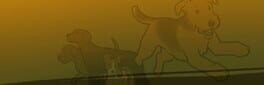 Animal Shelter 2: Hunting Dogs Pack artwork 1