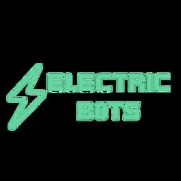 The Electric Bots artwork 2