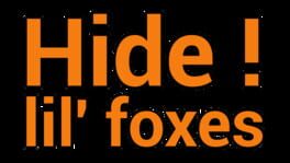 Hidden Foxes artwork 6
