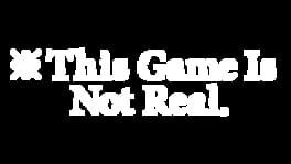 This Game Is Not Real artwork 2