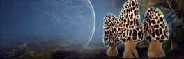 Morels: Out of this World artwork 1