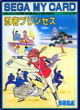 Ninja Princess artwork 5