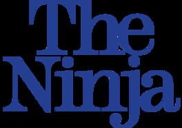 The Ninja artwork 2