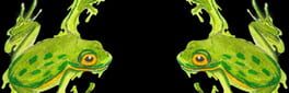 Grenouilles 3D artwork 1