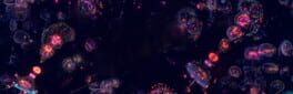 Primordial Soup artwork 1