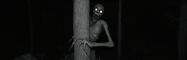The Rake Sees You artwork 1