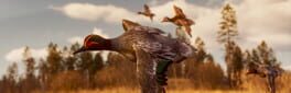 Bult: Hunting Simulator artwork 1