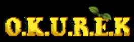 Okurek artwork 2