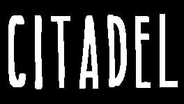 Citadel artwork 1