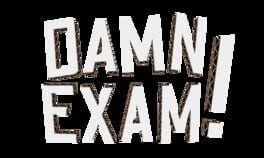 Damn Exam artwork 1