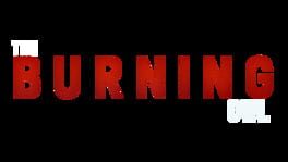 The Burning Owl artwork 2