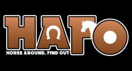 HAFO: Horse Around, Find Out artwork 2