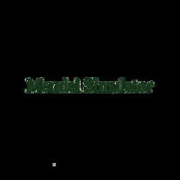 Mendel Simulator artwork 2