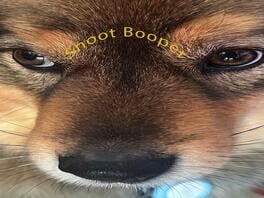 Snoot Booper artwork 2