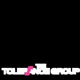 The Tolerance Group artwork 2