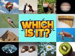 Which Is It? artwork 1