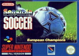 Championship Soccer '94 artwork 4