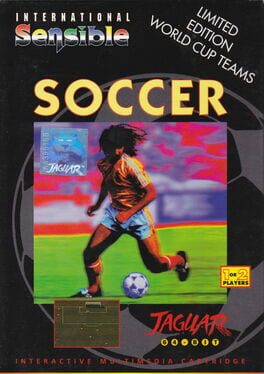 International Sensible Soccer artwork 3
