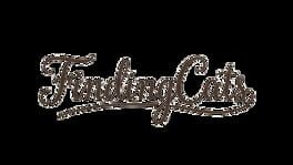 Finding Cats artwork 3