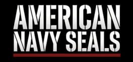 American Navy Seals artwork 2