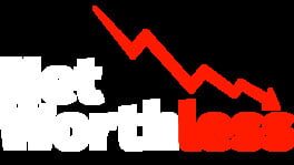 Net Worthless artwork 2