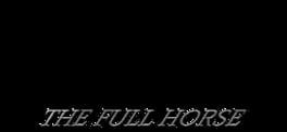 Horse Magnifier: The Full Horse artwork 2