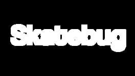 Skatebug artwork 2
