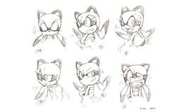 Sonic Rush Adventure artwork 2