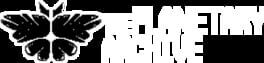 The Planetary Archive artwork 2