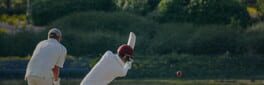 Cricket Manager 27 artwork 1