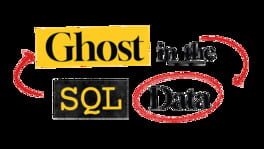 Ghost in the SQL Data artwork 2