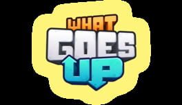 What Goes Up artwork 1