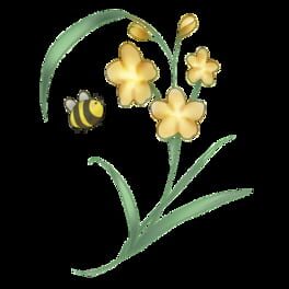 Floraison artwork 2