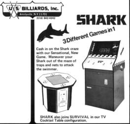 Shark artwork 3