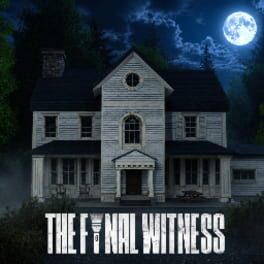 The Final Witness artwork 1