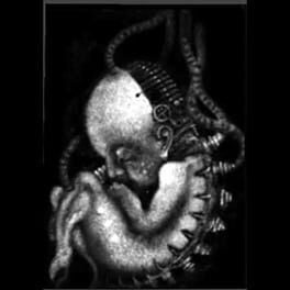 Roaches artwork 1