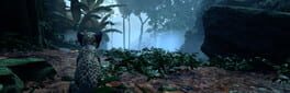 Kito: Lost Trail artwork 2