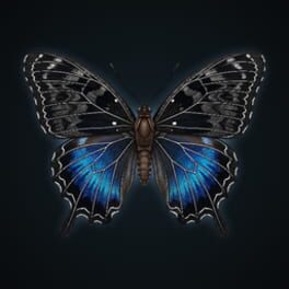 What Killed Rachel artwork 2