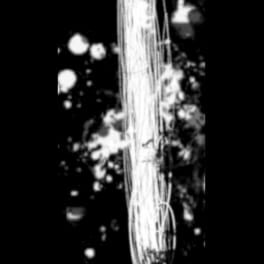 Iskra artwork 3