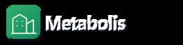 Metabolis artwork 2