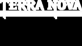 TerraNova: Legend of the Runes artwork 2