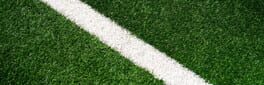 Simple Football League Manager artwork 2