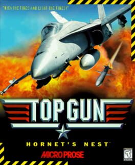 Top Gun: Hornet's Nest artwork 2