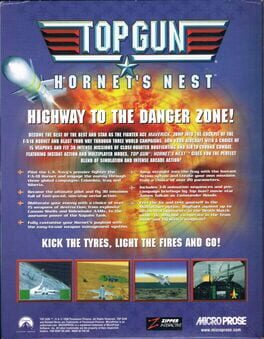 Top Gun: Hornet's Nest artwork 3