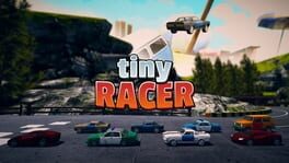 Tiny Racer artwork 1